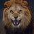 Shelli Periard's profile image