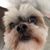 Peggy Fuller's profile image