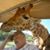 Charles H. Van Leer's profile image