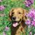 Eileen Lorenzi Zarowsky's profile image