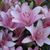 Susan Wiegand Fuller's profile image