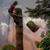 Christopher Lombardi's profile image