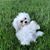 Beth Vinoya's profile image