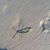 Cindy Lynn Fauser-Doherty's profile image