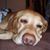 Stephen Harman's profile image