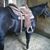Karen Clark Bauman's profile image