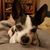 Debbie Rael's profile image