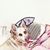 Carol Spieler's profile image