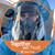Michelle Miller's profile image