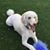 Lynne Wilson Fasone's profile image