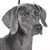 Barbara Cook's profile image