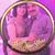 Hripsime Zeneian's profile image