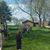 Allison Sauvain-Hicks's profile image