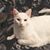 Lynn Gustafson's profile image