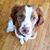 Ryan Schroer's profile image