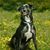 Teresa E Hedrick's profile image