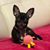 Joy McGee Markle's profile image