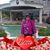 Mara Micanovic's profile image