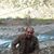 Asif Noor Elahi's profile image