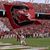 Matthew Davis's profile image