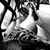 Julia Deeley Grant's profile image