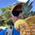 Brenton G Lukert's profile image
