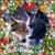 Susan Wall's profile image