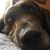 Genia Thomas's profile image