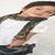 Ayan Memon's profile image