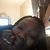 Kaybrown Terry's profile image