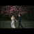 Justin Collick's profile image