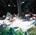 Renee Sirois's profile image