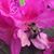 Brenda Hitt Whitney's profile image