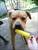 zita v.'s profile image