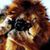 Edwin Aldrin Sanchez's profile image