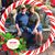 Donna Hill Momburg's profile image