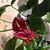 Barbara Lepley's profile image