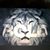 Skip Degraff's profile image