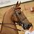 Leann DeLange's profile image
