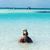 Rachel Bechor's profile image