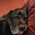 Becki Gibson's profile image