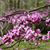 Linda Russell's profile image