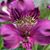 Lillian Mccool's profile image