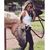 Ali Carr's profile image