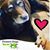 Kristie Gwynn's profile image