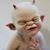 Thomas Driscoll's profile image
