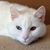 Ginger Wilk's profile image