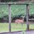 MG Douglass's profile image