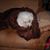 Patricia Kapello Sabo's profile image