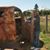 Lonnie Wainscott's profile image